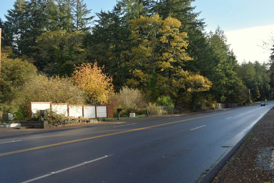 Tree-lined residential street in Bothell, WA